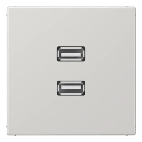 Adaptador 2 x USB 2.0 em Termoplástico Cinzento Claro LS JUNG MALS1153LG