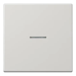 Botão simples com visor cinzento claro LS JUNG BTLS17101LG