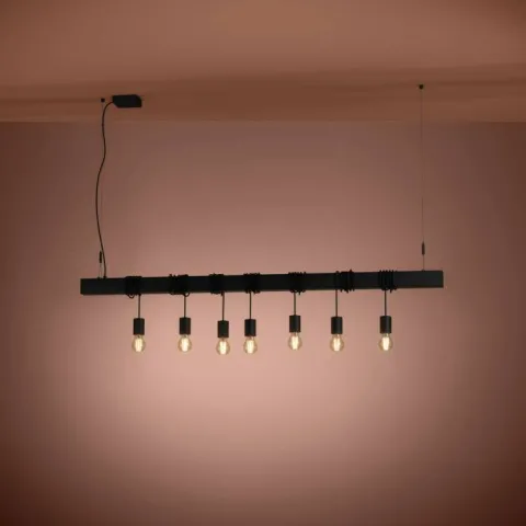 Candeeiro de Tecto Suspenso Vintage Eglo townshend b 39938