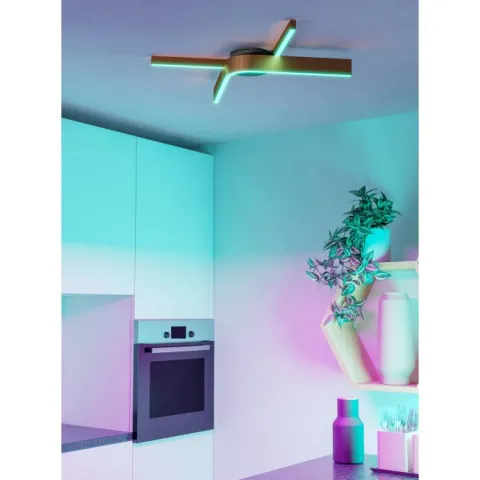 Candeeiro de teto elegante com tecnologia smart FOLCINO-Z EGLO 901863