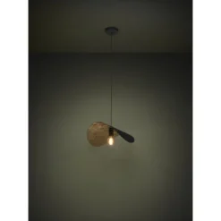 Candeeiro de teto suspenso SACEDA EGLO 390393
