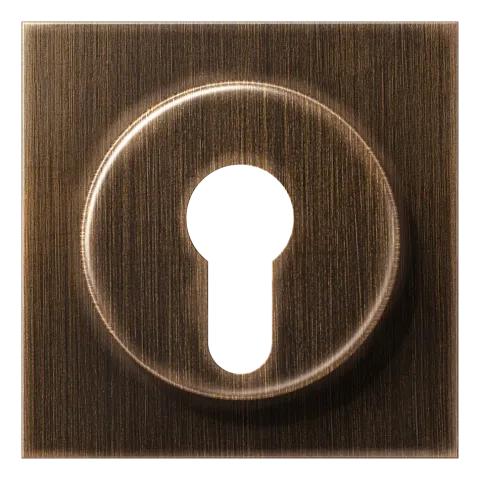 Capa para Interruptor de Chave com Proteção Latão Antik Série LS JUNG ME2928AT
