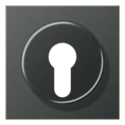 Capa para Interruptor de Chave com Proteção Alumínio Lacado LS JUNG AL2928AN