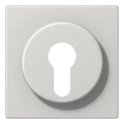 Capa para Interruptor de Chave com Proteção Cinzento Claro LS JUNG LS928LG