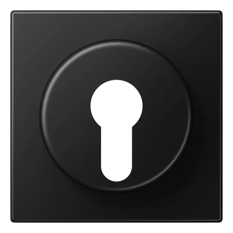 Capa para Interruptor de Chave com Proteção Preto Mate LS JUNG LS928SWM