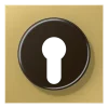 Capa para Interruptor de Chave com Proteção Latão Classic LS JUNG ME2928C