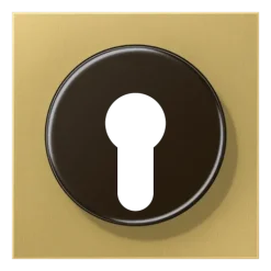 Capa para Interruptor de Chave com Proteção Latão Classic LS JUNG ME2928C