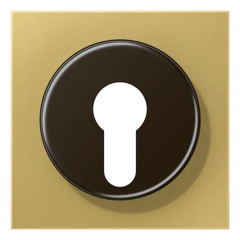 Capa para Interruptor de Chave com Proteção Latão Classic LS JUNG ME2928C