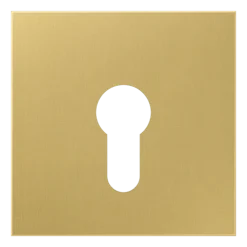 Capa para Interruptor de Chave Latão Classic Série LS JUNG ME2925C