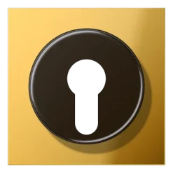 Capa para Interruptor de Chave com Proteção Dourada LS JUNG GO2928