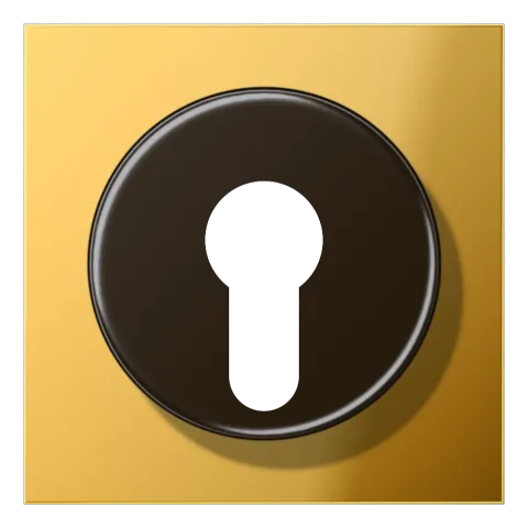 Capa para Interruptor de Chave com Proteção Dourada LS JUNG GO2928