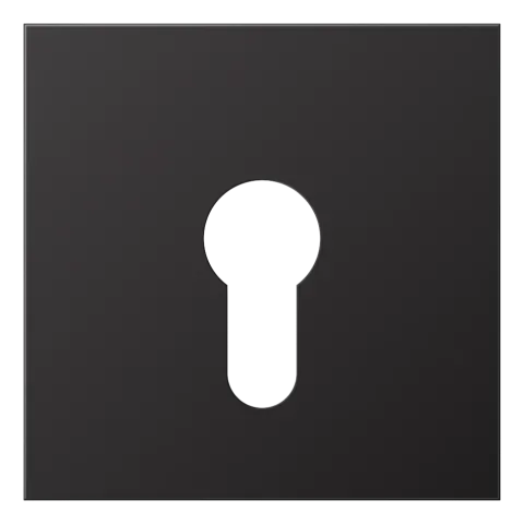 Capa para Interruptor de Chave Alumínio Lacado Série LS JUNG AL2925D
