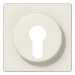 Capa para Interruptor de Chave com Proteção Termoplástico Marfim LS JUNG LS928