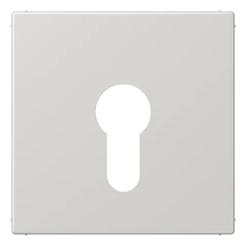 Capa para Interruptor de Chave Cinzento Claro LS JUNG LS925LG