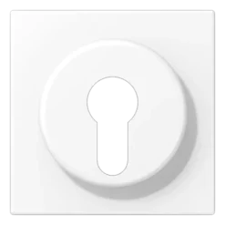 Capa para Interruptor de Chave com Proteção Branco Mate LS JUNG LS928WWM