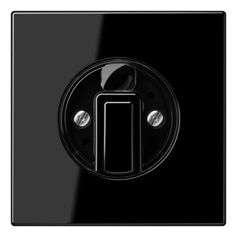 Capa para Interruptores Giratórios Preto LS JUNG LS1941SW