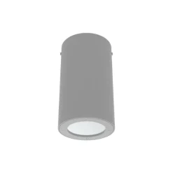 Luminária Saliente de Teto em Aço Inox 316 Tromilux 2062.100.2FX Cinza
