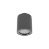 Luminária Saliente de Teto para Exterior em Aço Inox 316 Tromilux 2061.100.2F3 Cinza