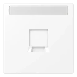 Placa central para conectores RJ com campo de inscrição LS JUNG LS1969-15NAWELG