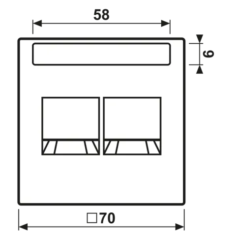 Placa central para conectores RJ 2x LS JUNG LS1969-25NAWESW