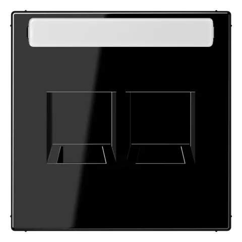Placa central para conectores RJ 2x LS JUNG LS1969-25NAWESW