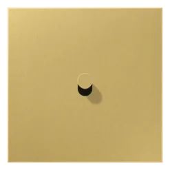 Placa com alavanca cone simples latão classic Série LS 1912 JUNG ME12-0CK25