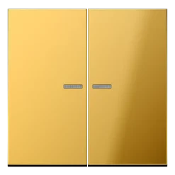 Tecla duplo com visor dourado Série LS JUNG GO2995KO5