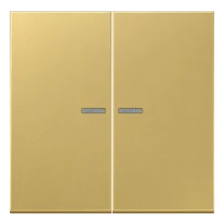 Tecla duplo com visor latão classic Série LS JUNG ME2995KO5C