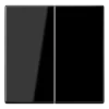 Tecla duplo preto F10 Série LS JUNG LS102SW