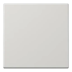 Tecla simples cinzento claro F10 JUNG LS101LG