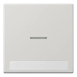 Tecla simples com campo de inscrição e visor cinzento claro LS JUNG LS990NAKO5LG