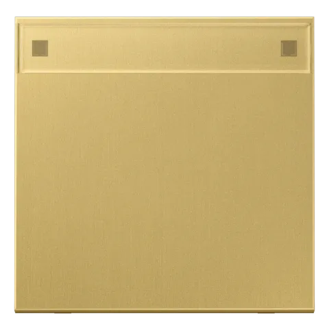 Tecla simples com campo de inscrição latão classic Série LS JUNG ME2990NAC