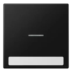 Tecla simples com campo de inscrição e visor preto mate LS JUNG LS990NAKO5SWM