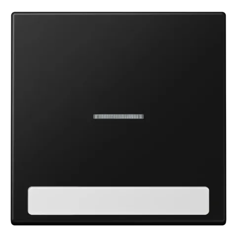 Tecla simples com campo de inscrição e visor preto mate LS JUNG LS990NAKO5SWM