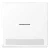 Tecla simples com campo de inscrição e visor branco mate LS JUNG LS990NAKO5WWM