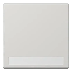 Tecla simples com campo de inscrição cinzento claro LS JUNG LS990NALG