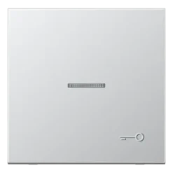 Tecla simples com símbolo porta em relevo e visor Série LS JUNG AL2990KO5TP
