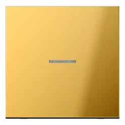 Tecla simples com visor dourado Série LS JUNG GO2990KO5