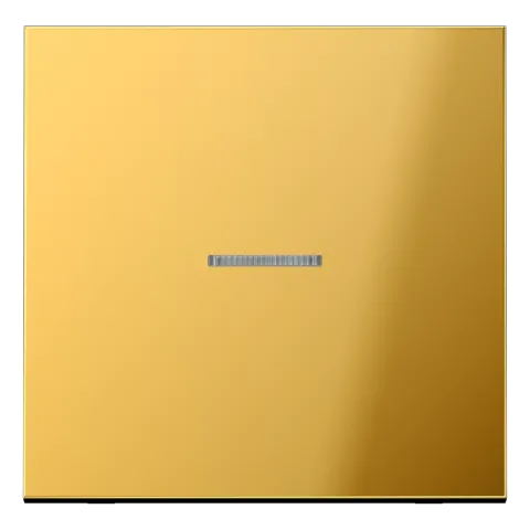 Tecla simples com visor dourado Série LS JUNG GO2990KO5