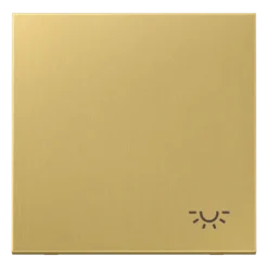 Tecla simples símbolo luz latão classic Série LS JUNG ME2990LC
