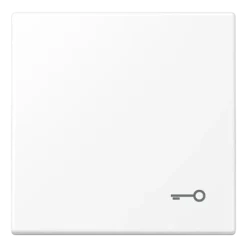Tecla simples símbolo porta branco mate LS JUNG LS990TWWM
