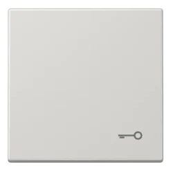Tecla simples símbolo porta cinzento claro LS JUNG LS990TLG