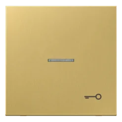 Tecla simples símbolo porta com visor latão classic Série LS JUNG ME2990KO5TC