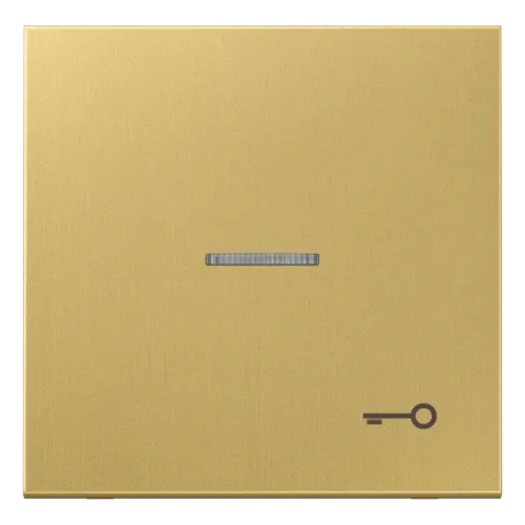 Tecla simples símbolo porta com visor latão classic Série LS JUNG ME2990KO5TC