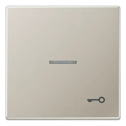 Tecla simples símbolo porta com visor aço Série LS JUNG ES2990KO5T