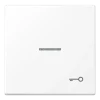 Tecla simples símbolo porta com visor branco mate LS JUNG LS990KO5TWWM