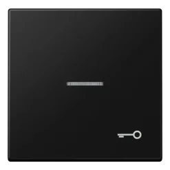 Tecla simples símbolo porta com visor preto mate LS JUNG LS990KO5TSWM