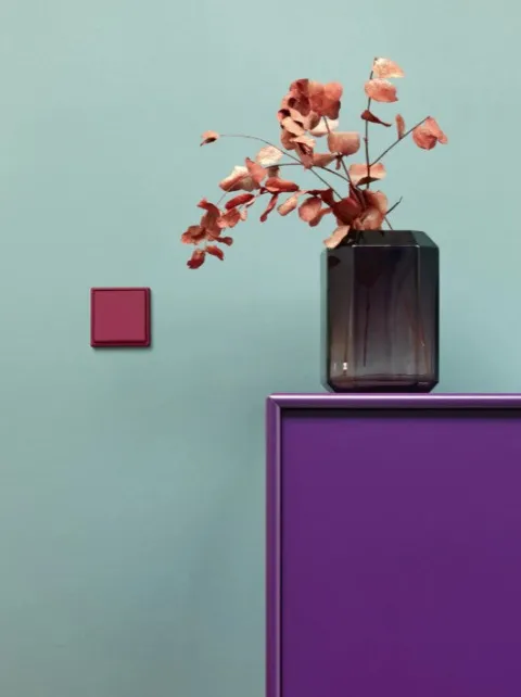 Tecla simples vermelha (rouge rubia) LS 990 Les Couleurs® Le Corbusier - JUNG