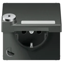 Tomada SCHUKO® 16 A 250 V com Campo de Inscrição Antracite LS JUNG AL1520NAKLSLAN